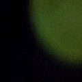 Bokeh-342